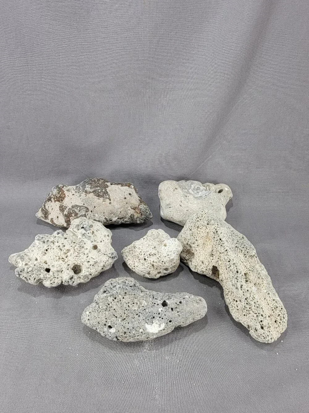 N/A rocks florida